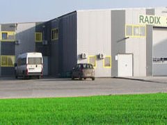 Radix Plant